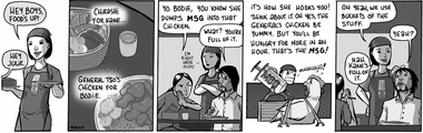 The Secret Of MSG